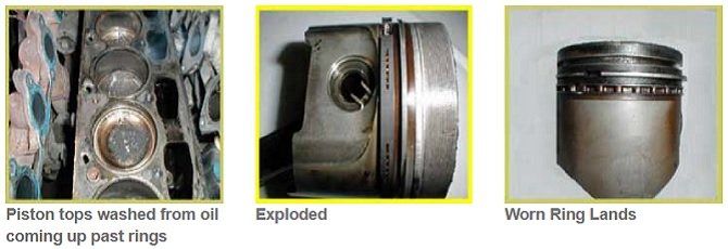 Flogged, Worn out Rings diagnostic