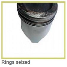 Seized Rings diagnostic